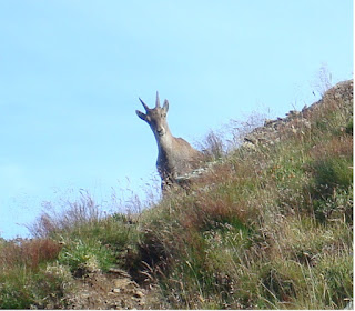 Col du Loup