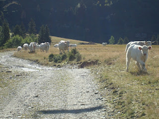 Le sentier 2000