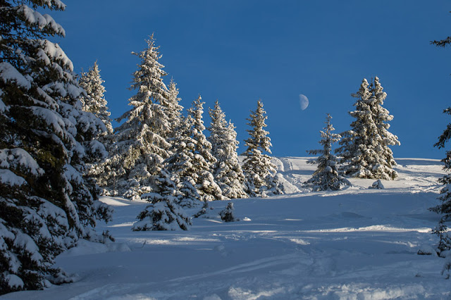 Descente le soir du Grand Rocher