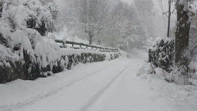 sous la neige