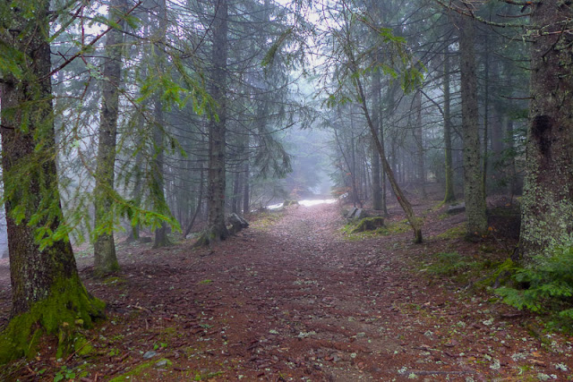 Promenade sans soleil