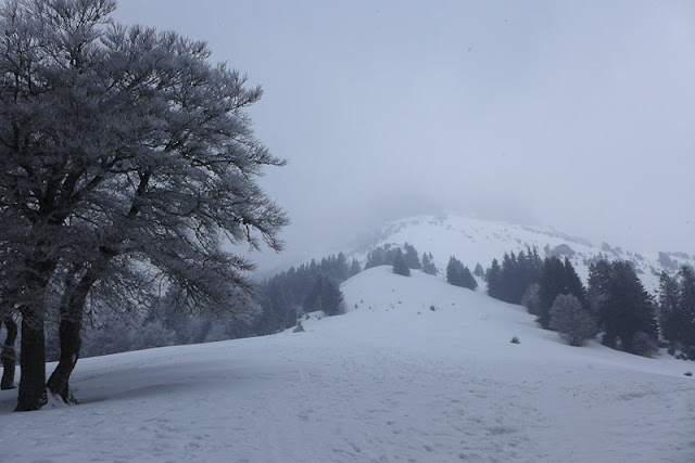 Habert de Chamechaude…glacial