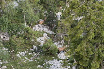 Pas de Rocheplane du col du Coq