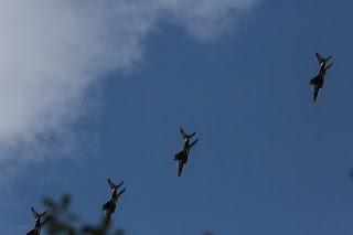 Grenoble air-show au Versou