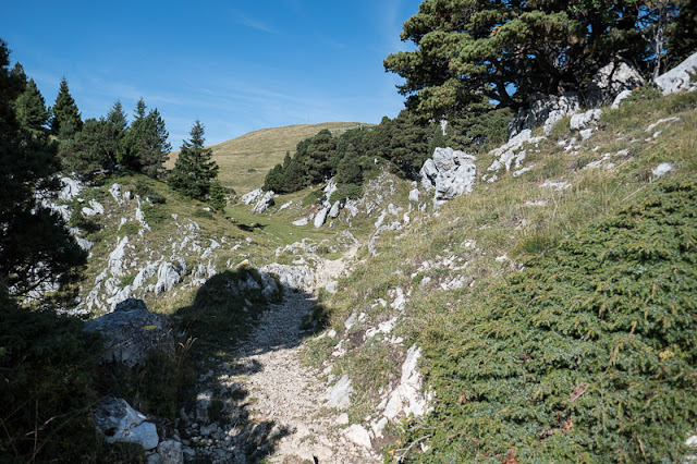 Croix de l’Alpe