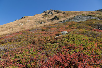Col de la Freche