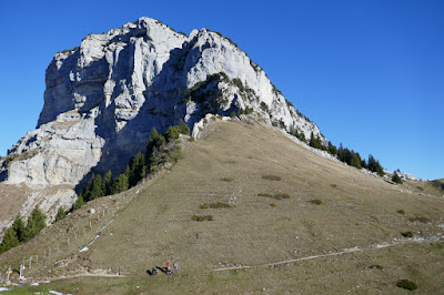 Bouquetin au dessus du pas Des barres