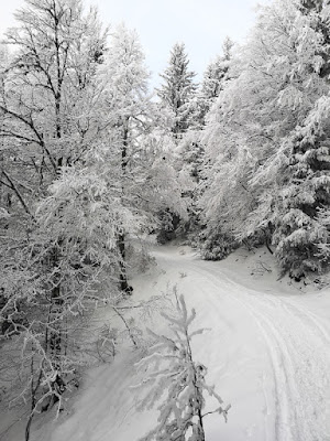 Sortie au habert du Pravouta