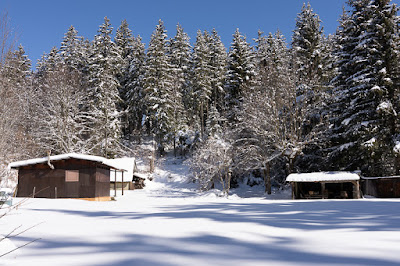 Petit tour à Revel