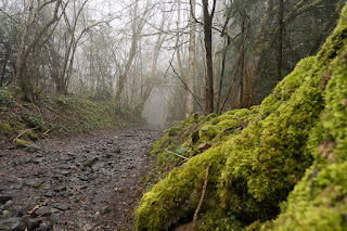 Pas grand monde sur les chemins aujourd’hui