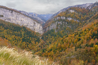 Randonnée du côté de Saint Laurent du Pont