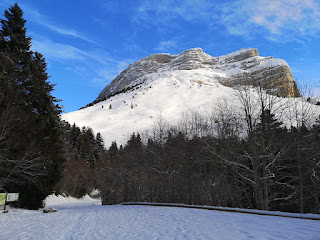 Pravouta