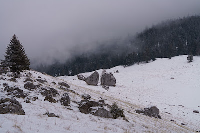 Bouquetins et chamois à l’Alpette