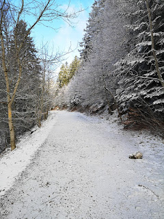 Roc d’Arguille