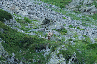Petite Lance du Crozet et col du Loup