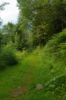 Col de la Mine de Fer de La Souille