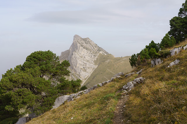 Du Col du Coq jusqu’au pied du Piton de Bellefont
