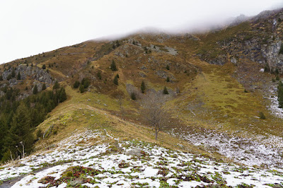 Habert des Jarlons et cabane de Barlet