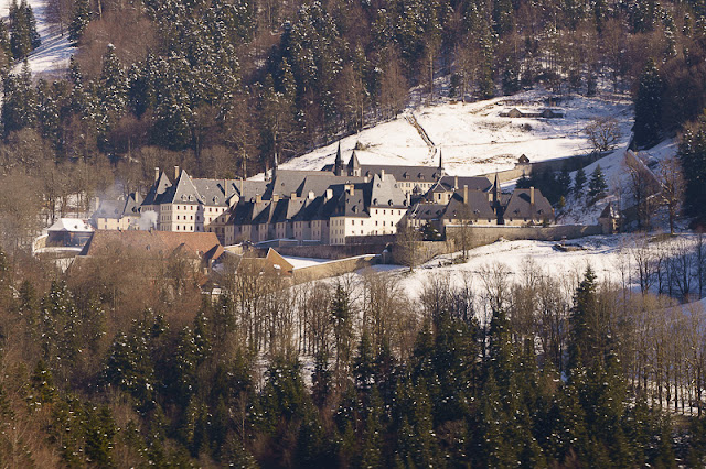 Mouflons au habert de Malamille