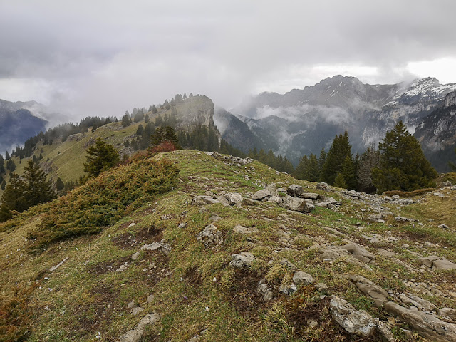 Pravouta et Roc d’Arguille