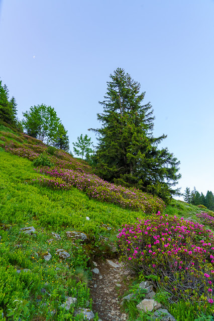 Tour grand Colon-Lac Merlat-Lac Claret-Lac Longet-Lac Crozet