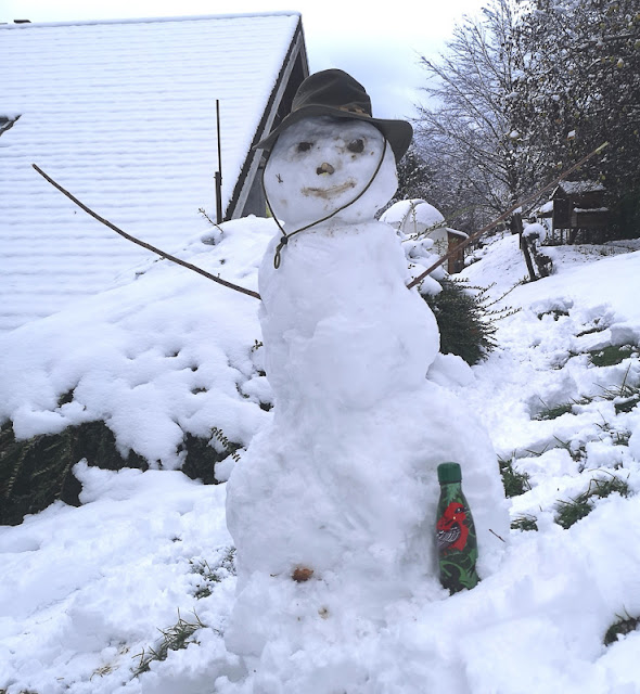 Pomenade dans la neige fraîche