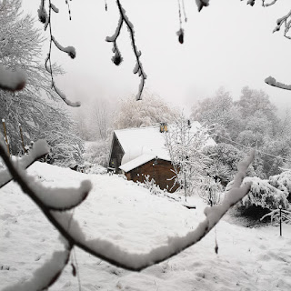 Dans la neige (jusqu’aux genoux) à Revel