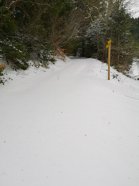 Neige fraiche jeudi je n’ai pas pu résister..